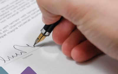 What are my Party Wall Notice response options?