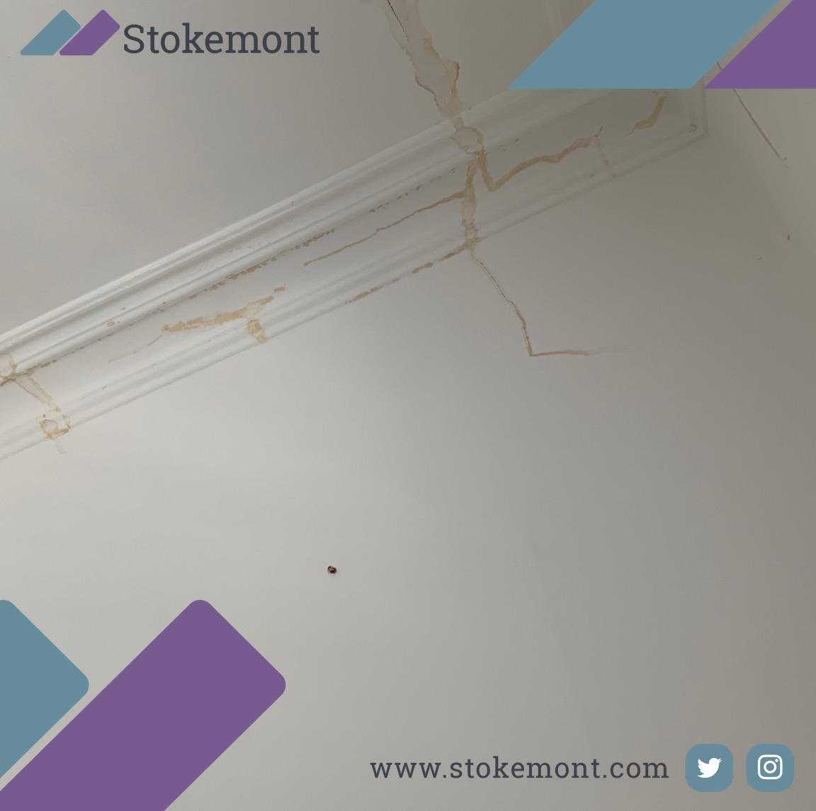#Ceiling #Damp #property #damage can be a #real #pain to #sort out as youve got to let it #dry before you can #rectify the #issue!