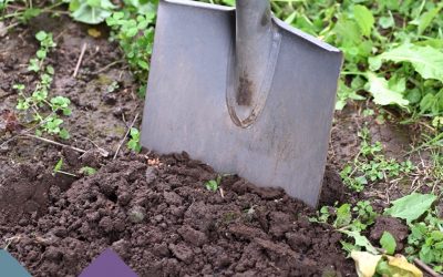 Eccentric Foundations