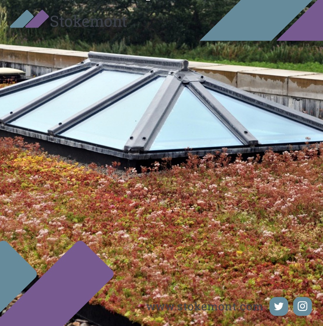 #Green #roofs are an #innovative #idea whereby the #original and #natural #vegetated footprint of the #property is reestablished via the #roof.