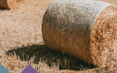 The Last Straw! – Straw Insulation