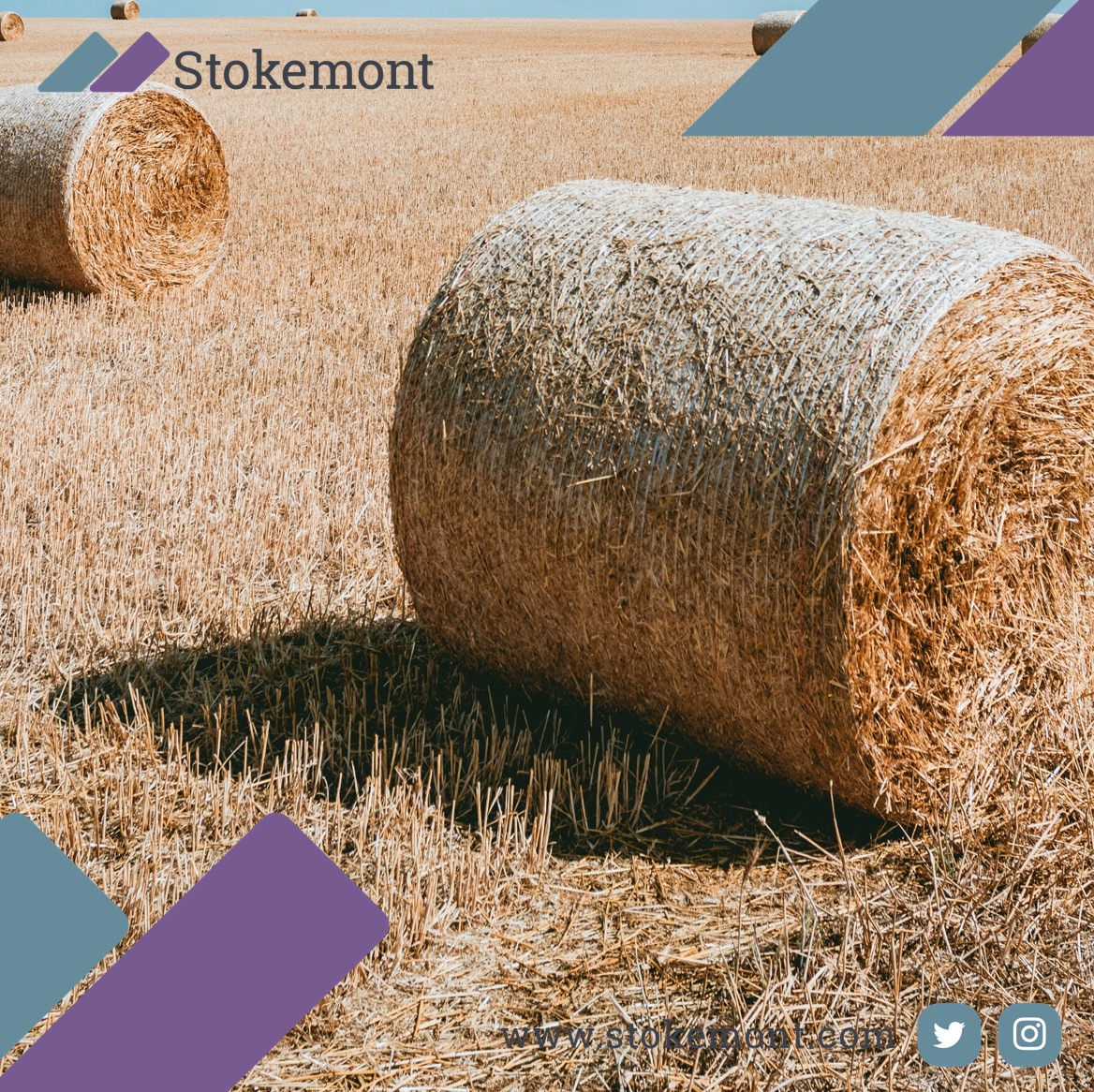 The Last Straw! - Straw Insulation - Stokemont