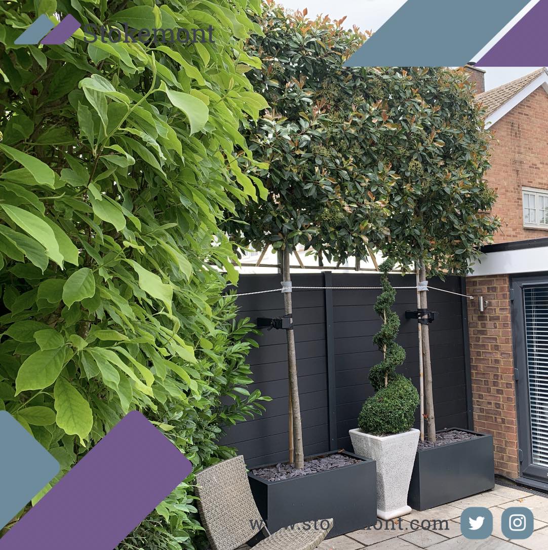 Plants can be an excellent way to avoid the rules surrounding high fences!