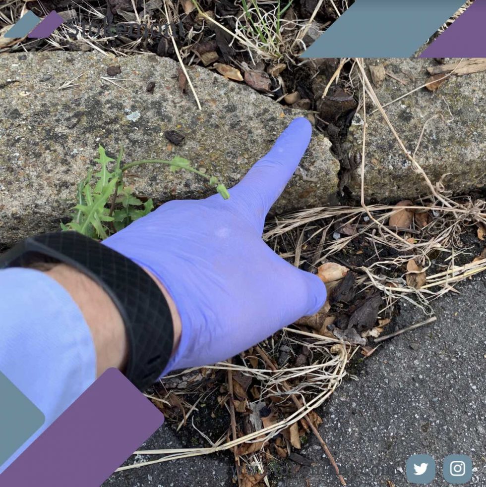 Historical Boundary Markers Stokemont