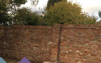Can I demolish a Party Fence Wall?