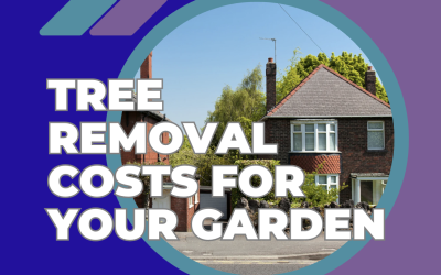 Tree Removal Costs for Your Garden