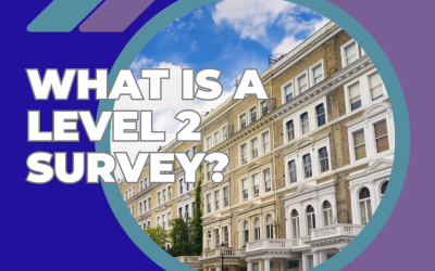 What is a Level 2 Survey?