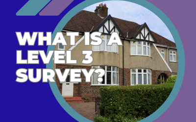 What is a Level 3 Survey?