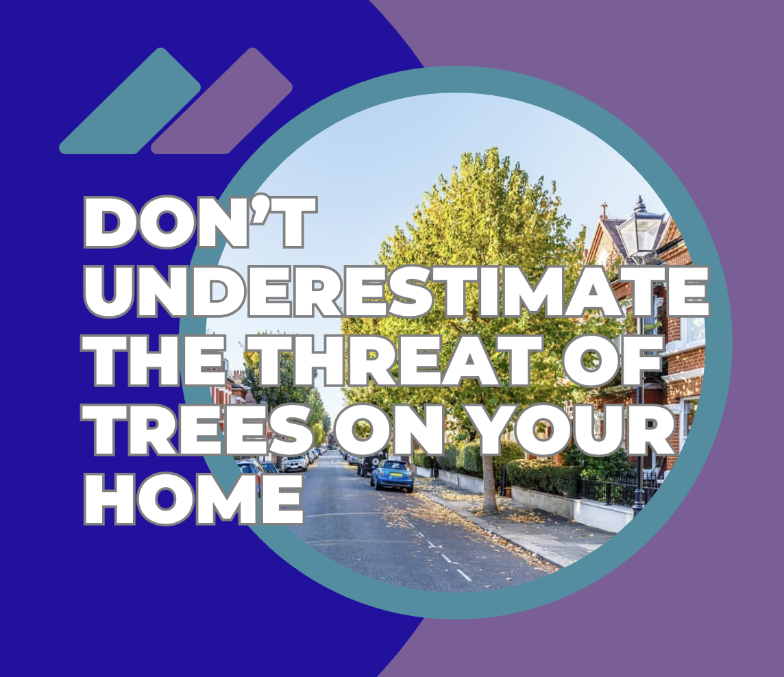 Don’t Underestimate the Threat of Trees on Your Home