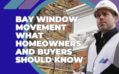 Bay Window Movement What Homeowners and Buyers Should Know
