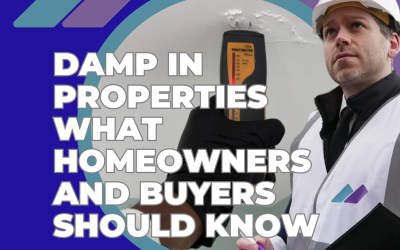 Damp in Properties What Homeowners and Buyers Should Know