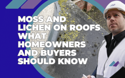 Moss and Lichen on Roofs What Homeowners and Buyers Should Know