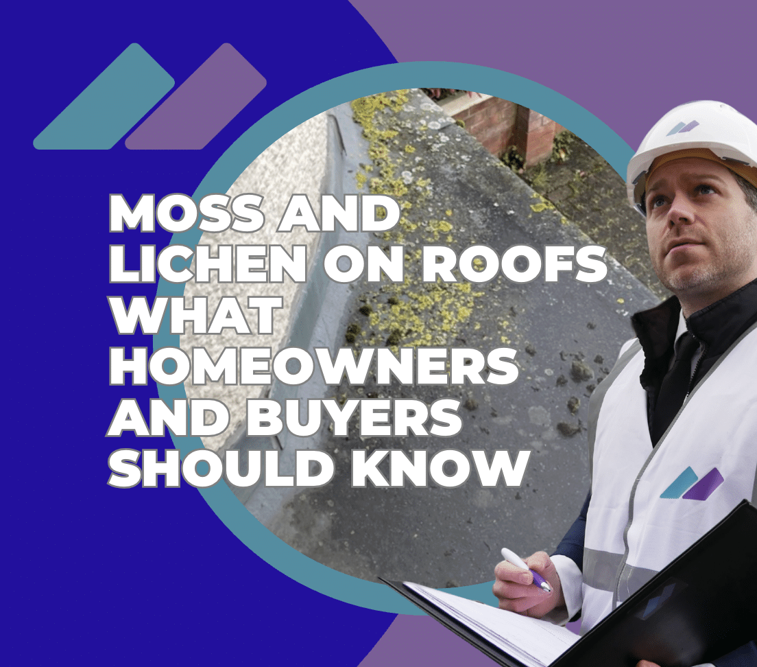 Moss and Lichen on Roofs What Homeowners and Buyers Should Know